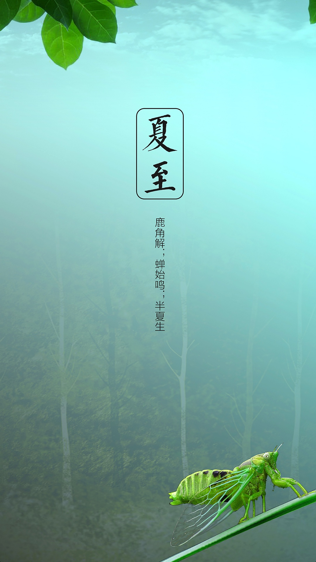 夏日炎炎，卡多陪伴，《卡多派對(duì)》6月23日IPTV即將上線
